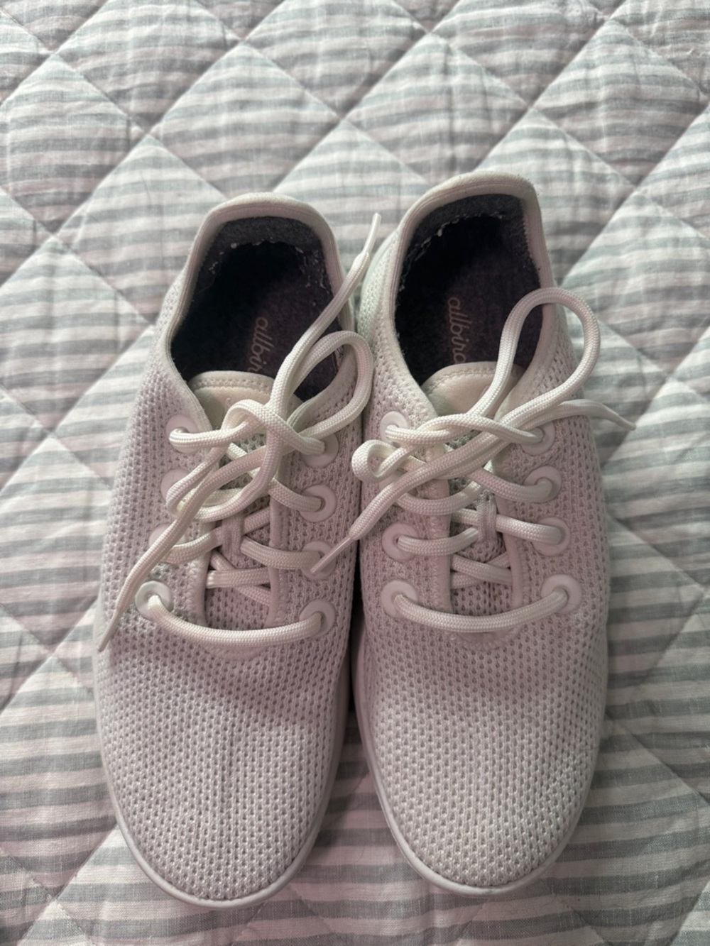 Allbird Tree Runners Women's Knit Lace-Up Sneakers